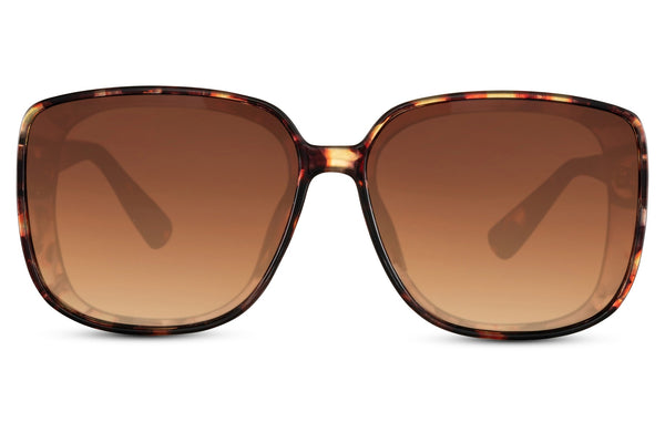 Dominica Oversized Sunglasses In Brown